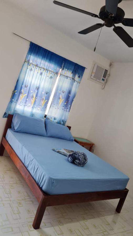 Babas Guesthouse Moalboal Extérieur photo